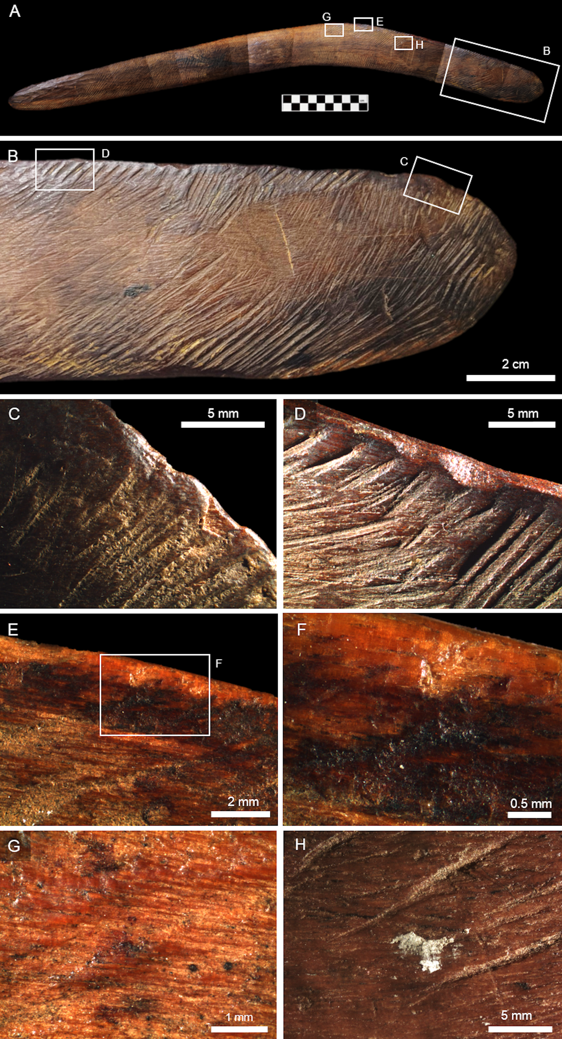Close-up pictures of details of a boomerang