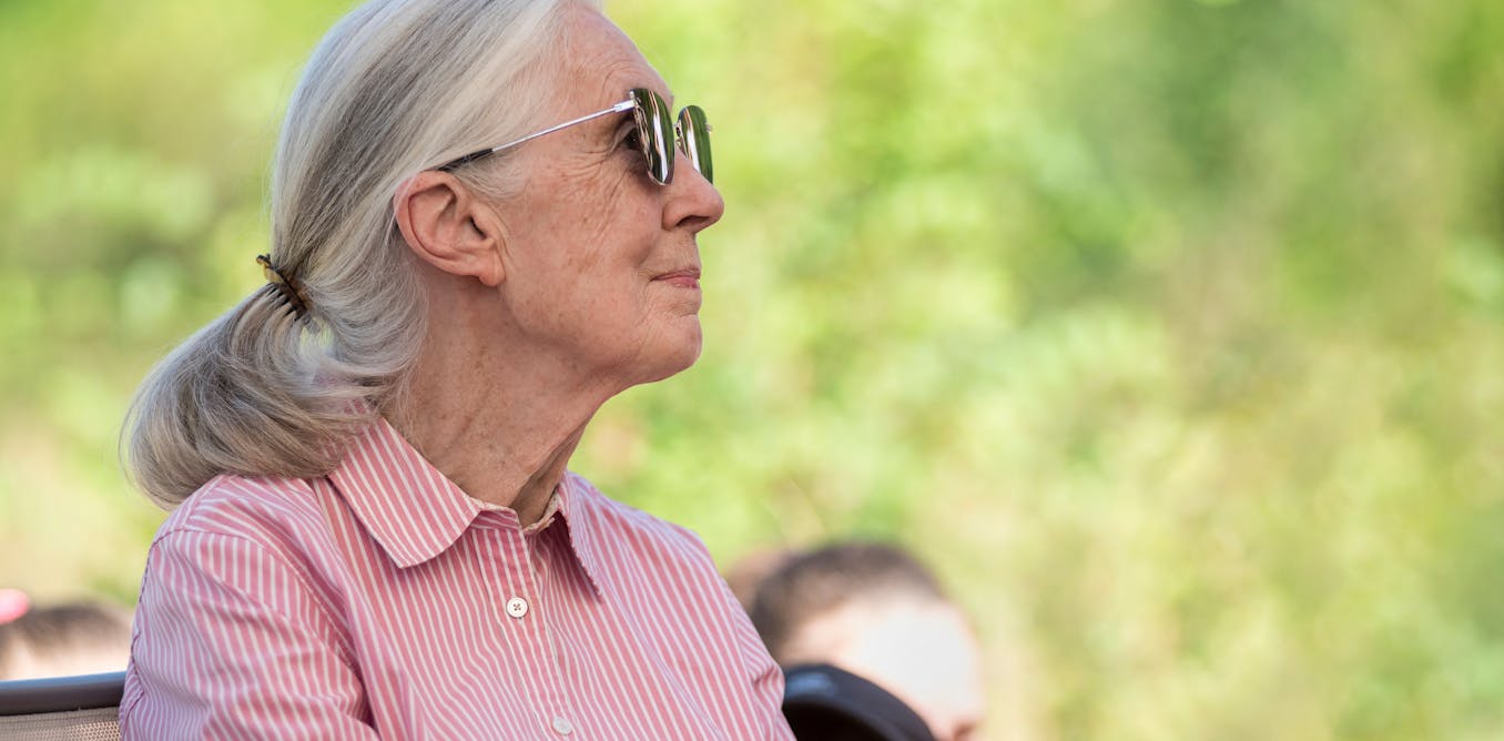 Jane Goodall cambió el paradigma de la evolución humana y el lugar que ocupamos en la naturaleza