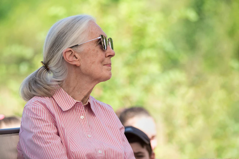 Retrato de Jane Goodall de perfil.