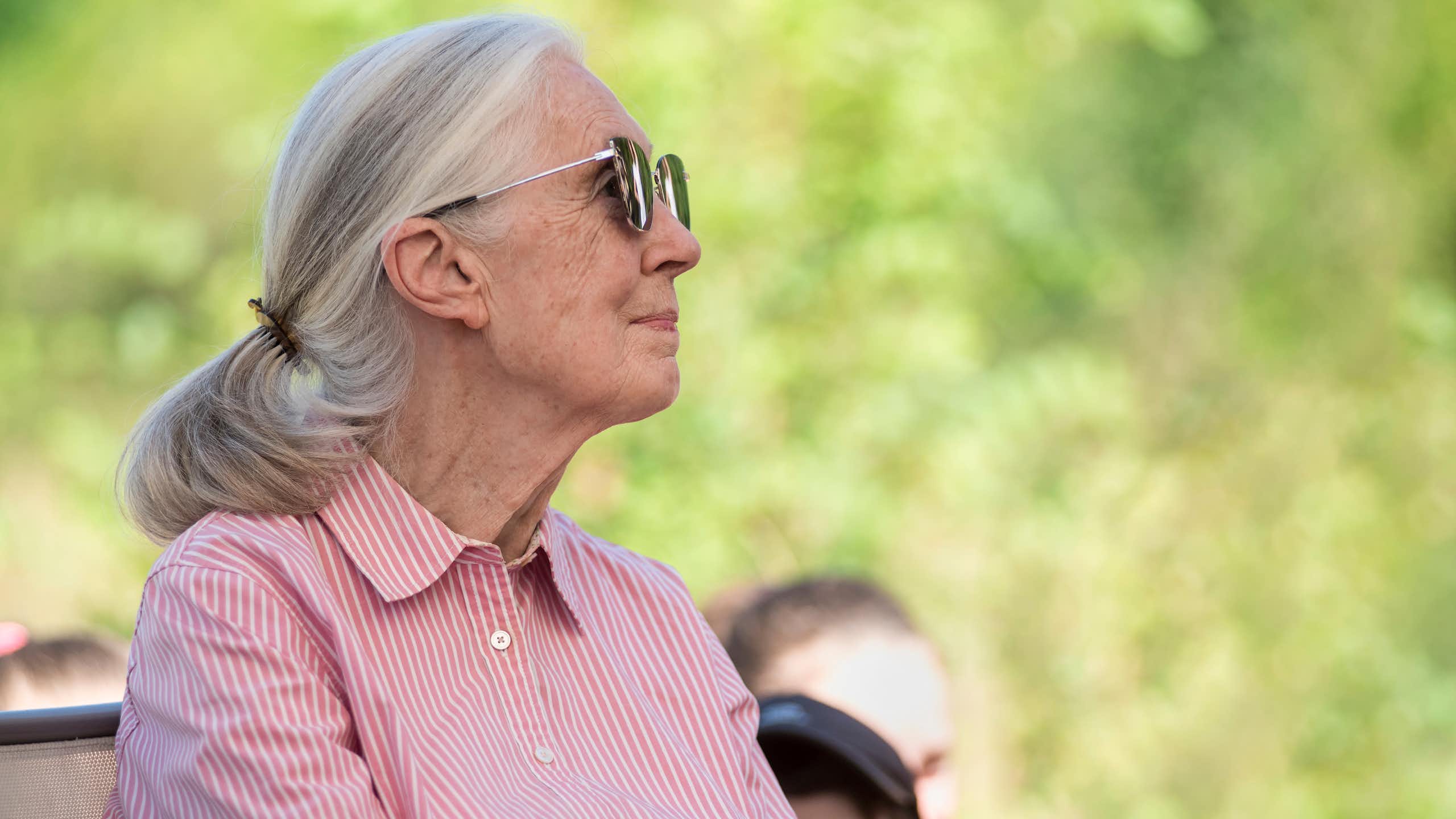 Retrato de Jane Goodall de perfil.