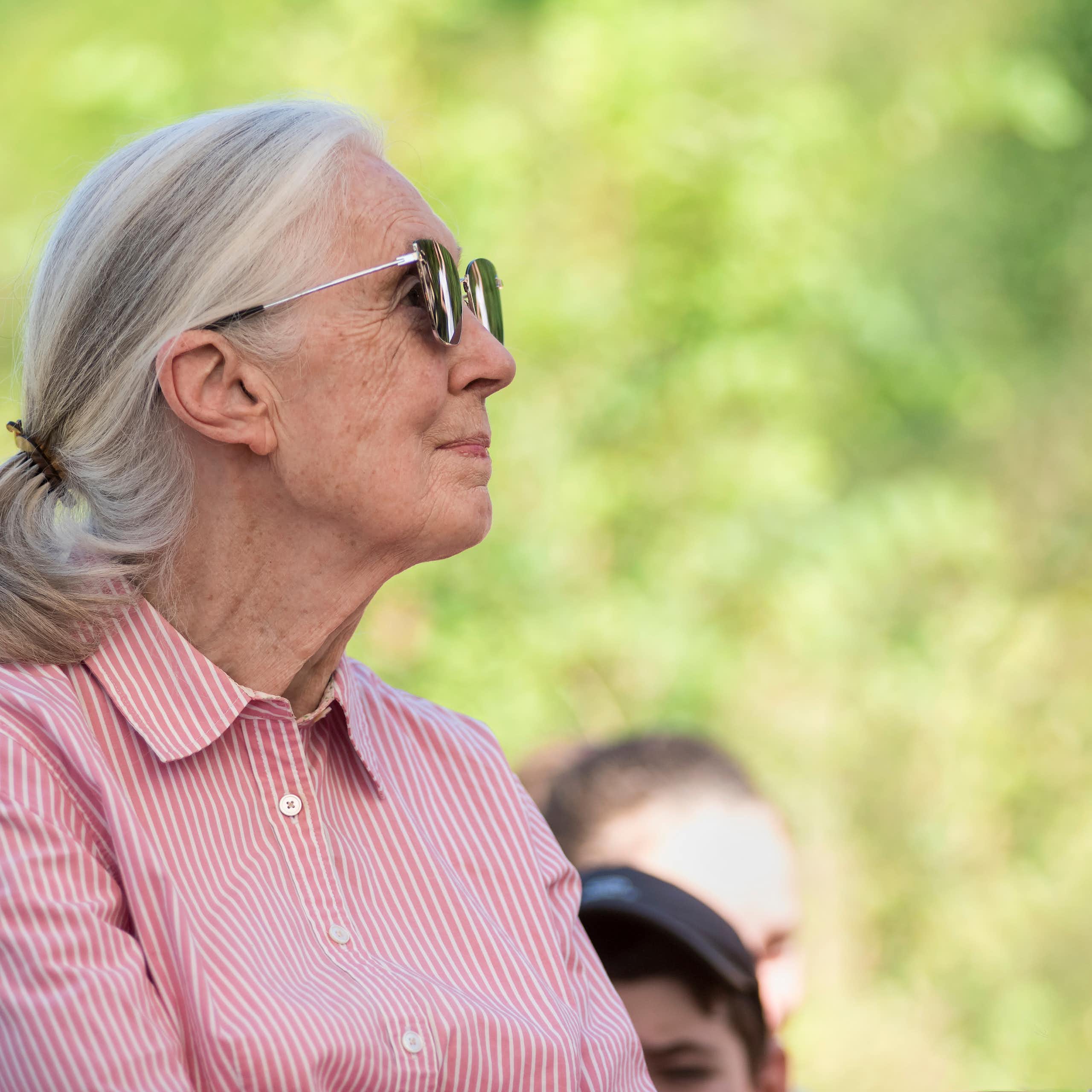 Retrato de Jane Goodall de perfil.