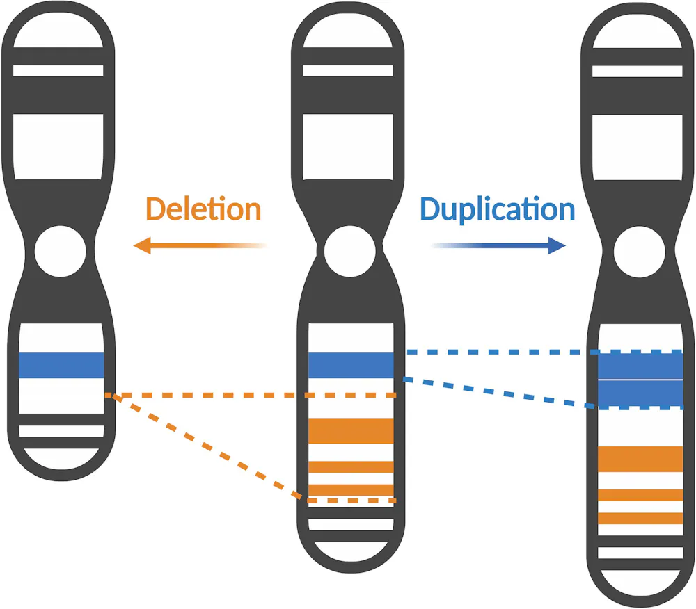 Dna Variant 1 gene, 1 disease no more – acknowledging the full complexity of ...