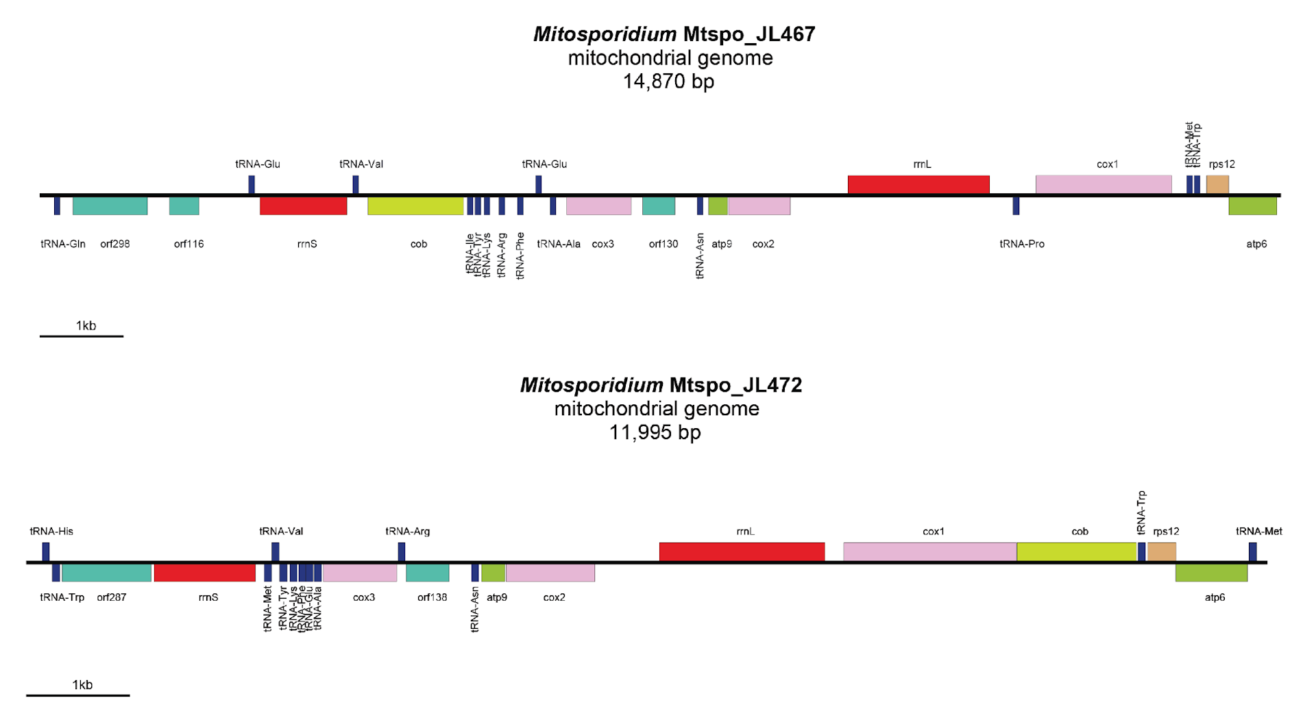 file 20251003 56 342py.png?ixlib=rb 4.1