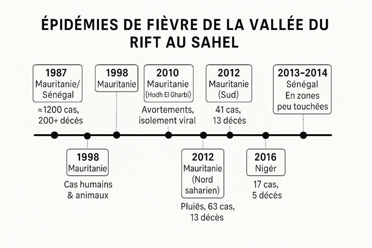 La fièvre de la vallée du Rift sévit au Sénégal : ce qu'il faut savoir ...