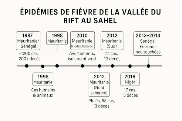 La fièvre de la vallée du Rift sévit au Sénégal : ce qu'il faut savoir ...