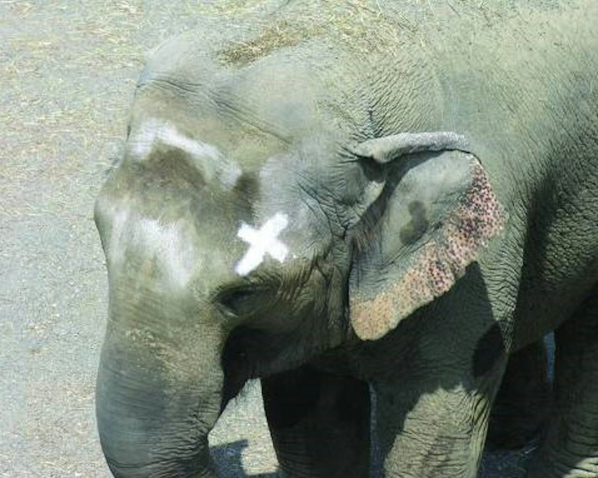 file 20251006 56 lh6qlq.jpg?ixlib=rb 4.1