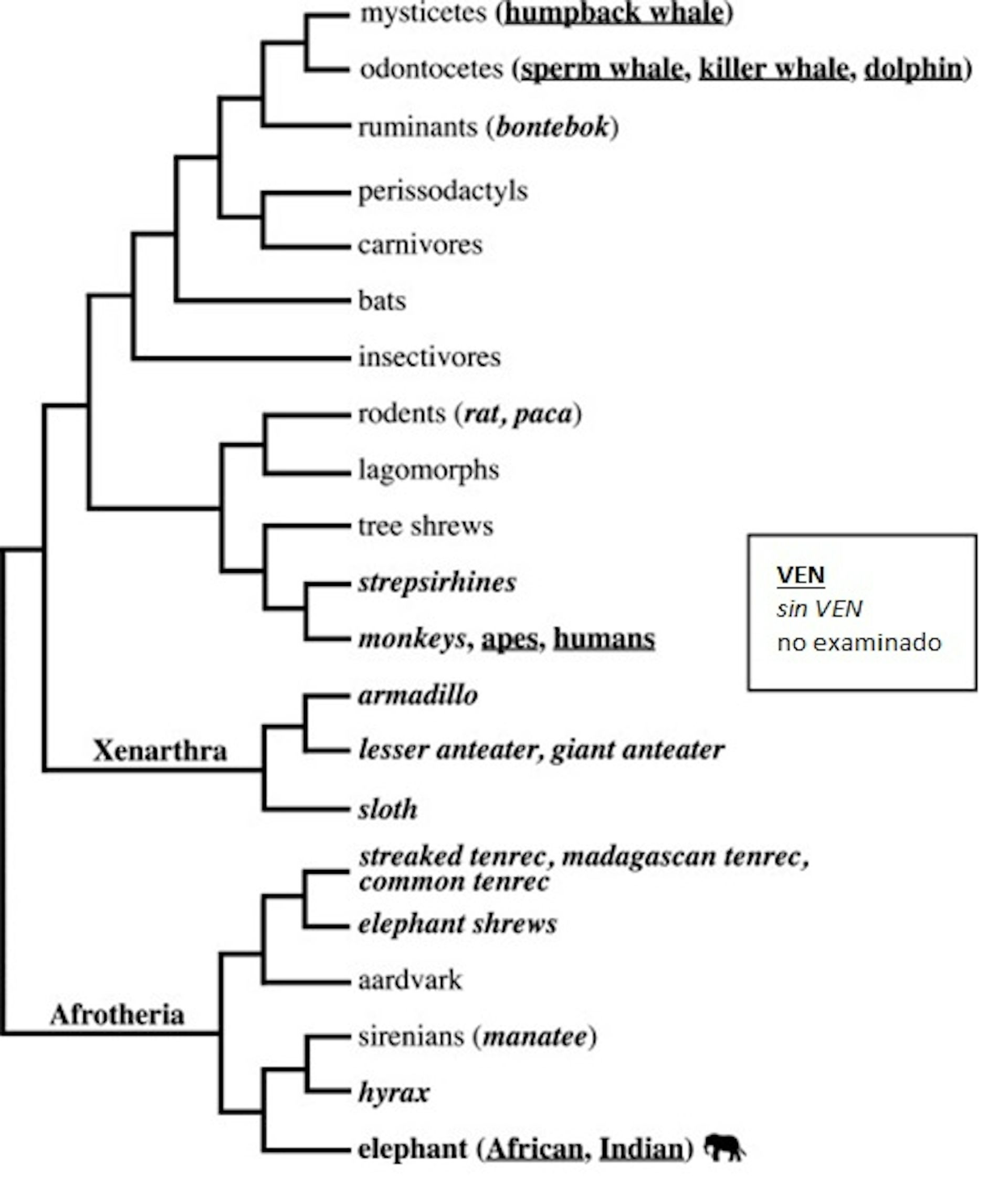 file 20251006 56 pjkkjl.jpg?ixlib=rb 4.1