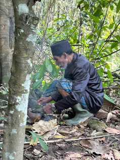 Pendidikan lingkungan di kalangan warga Karampuang.