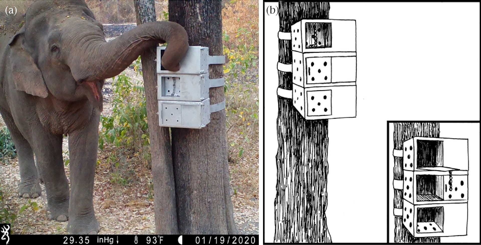 file 20251006 92 togip6.jpg?ixlib=rb 4.1