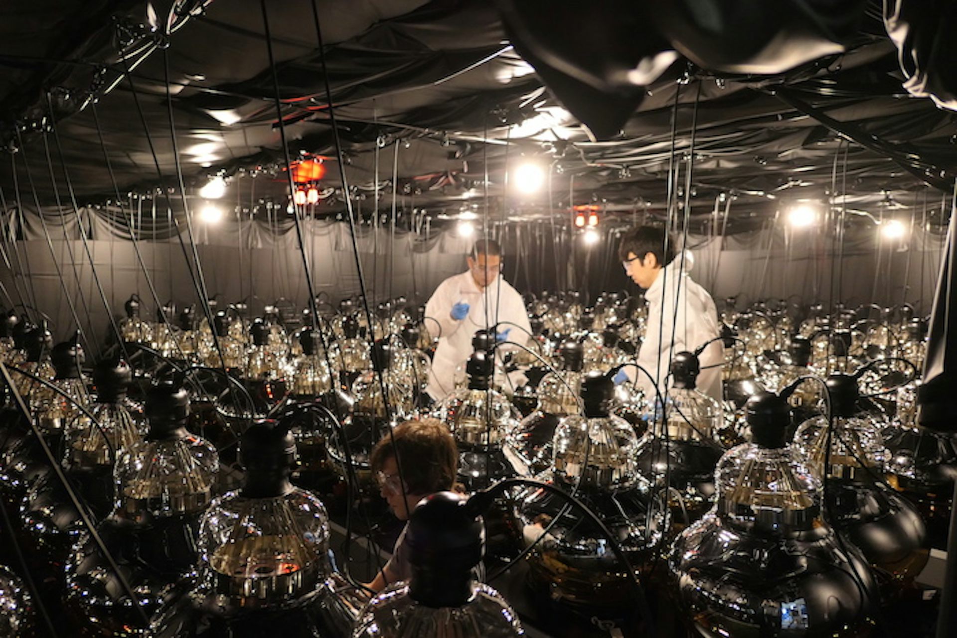 file 20251006 56 pbg4c0.jpg?ixlib=rb 4.1