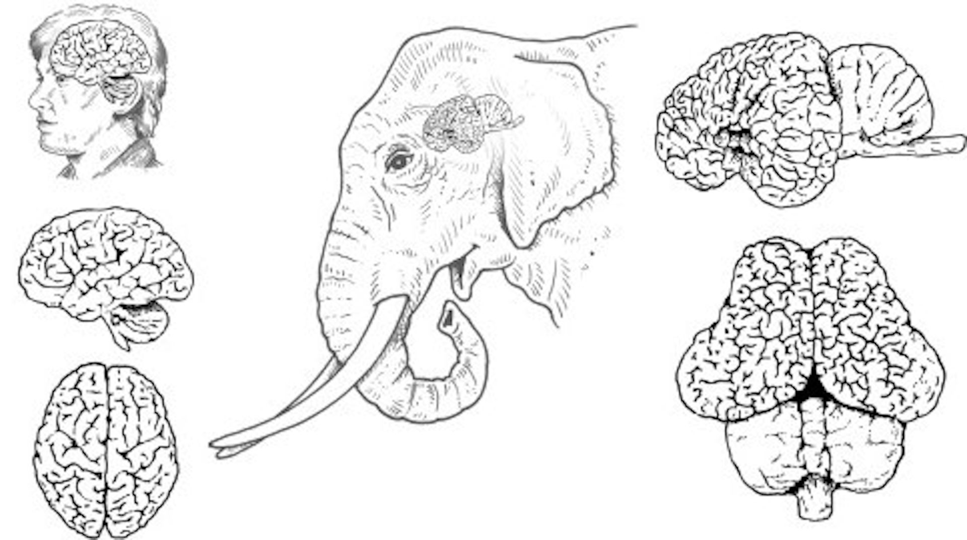 file 20251006 56 oy7g2c.jpg?ixlib=rb 4.1