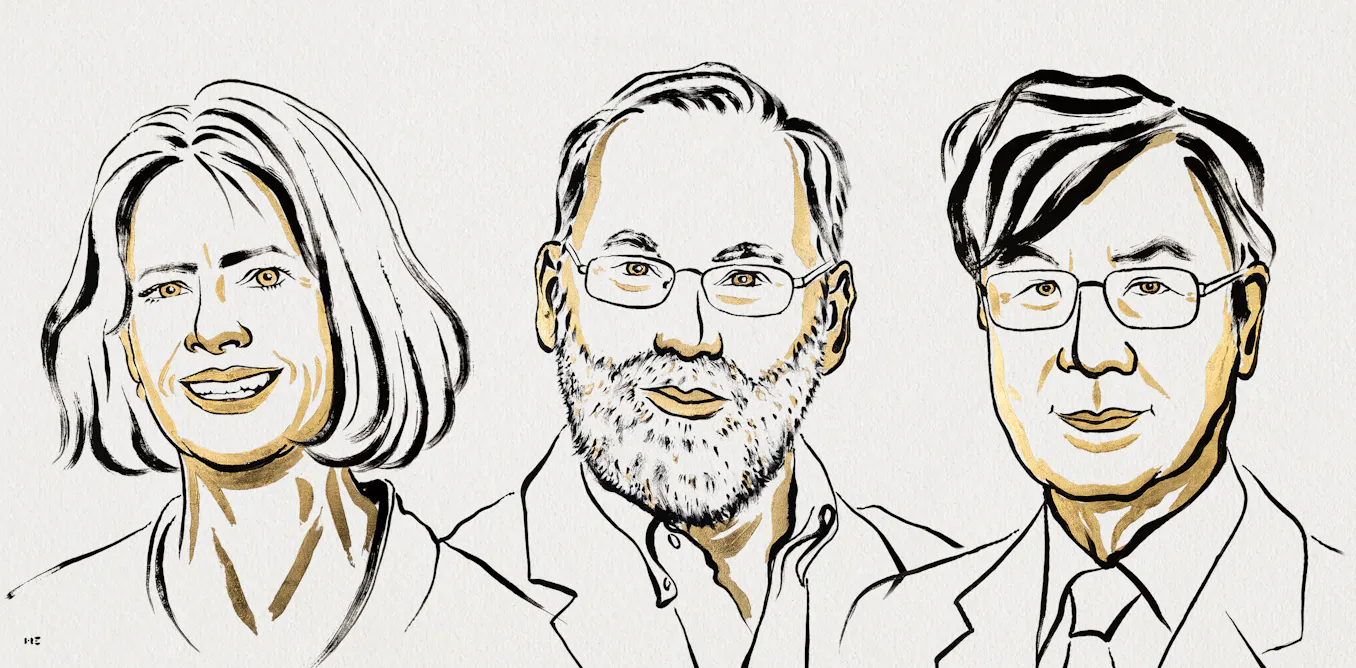 Nobel prize awarded for discovery of immune system’s ‘security guards’ Nobel prize awarded for discovery of immune system’s ‘security guards’