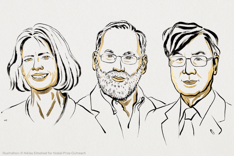 Portraits of the Nobel prize winners: Mary E. Brunkow, Fred Ramsdell and Shimon Sakaguchi.