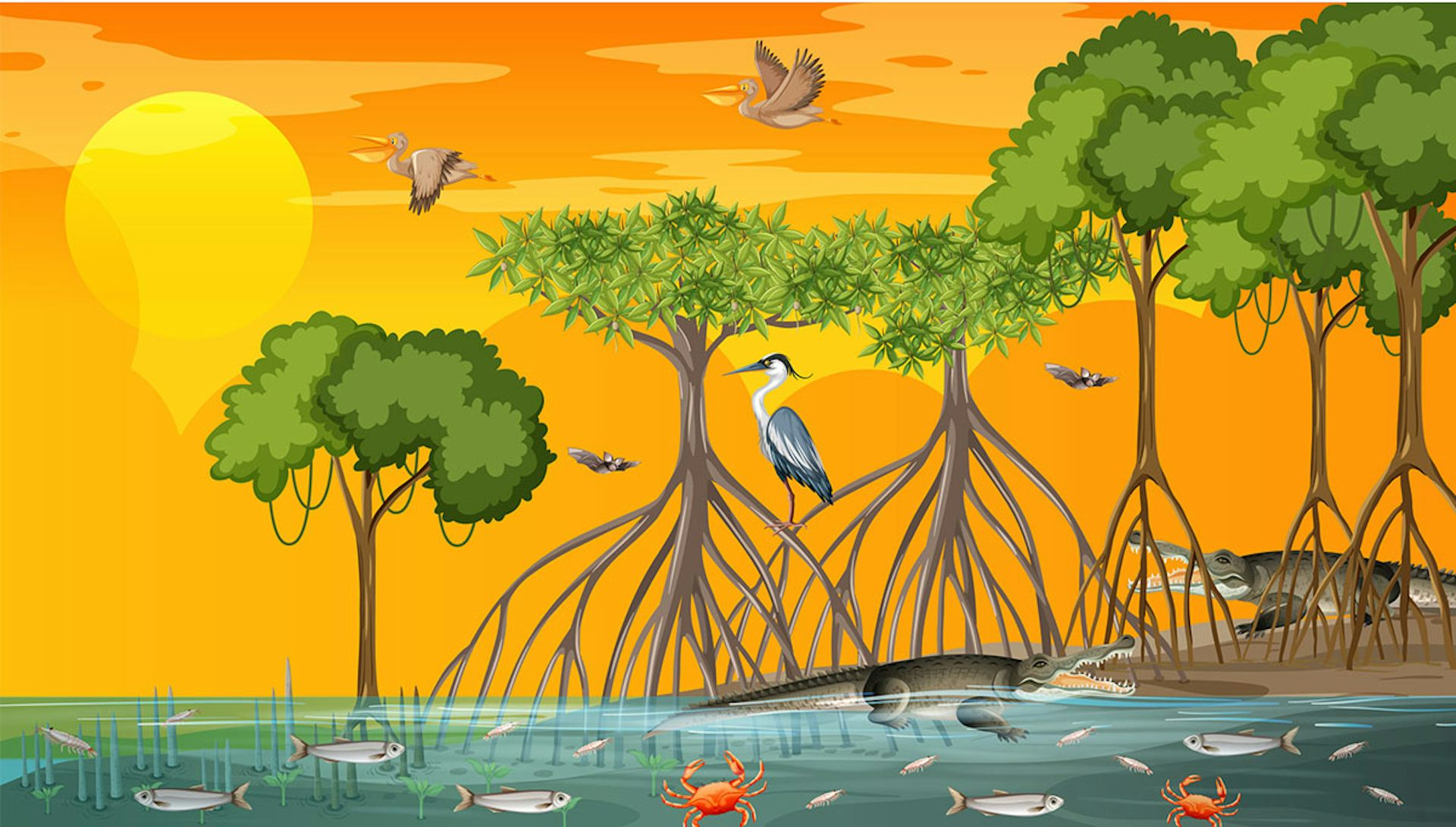 Compensación con carbono azul: ¿el nuevo oro de la mitigación climática o una moda pasajera?