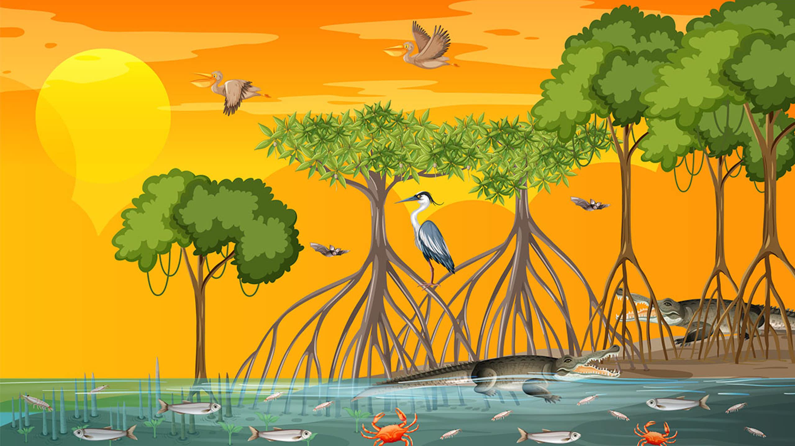 Compensación con carbono azul: ¿el nuevo oro de la mitigación climática o una moda pasajera?