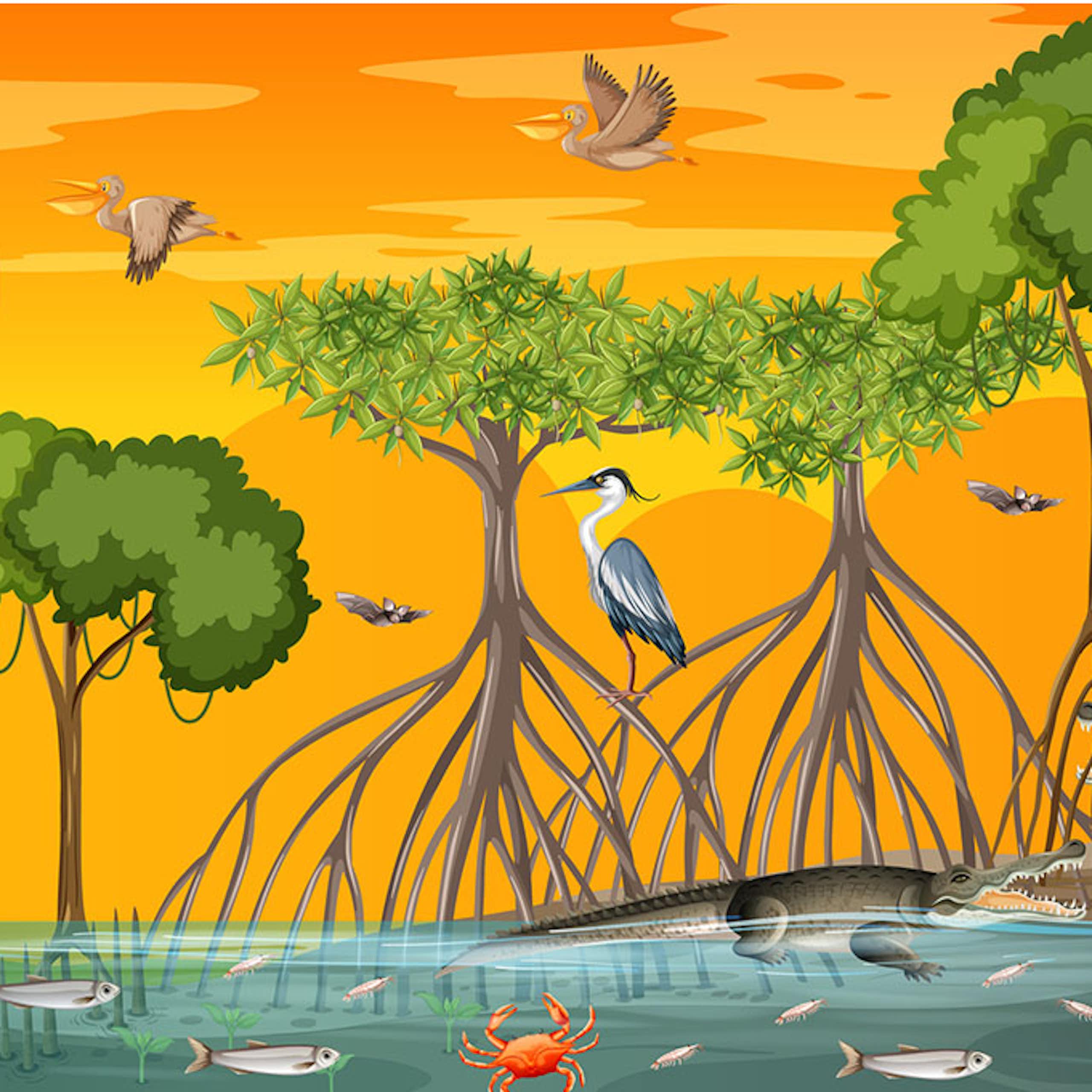 Compensación con carbono azul: ¿el nuevo oro de la mitigación climática o una moda pasajera?