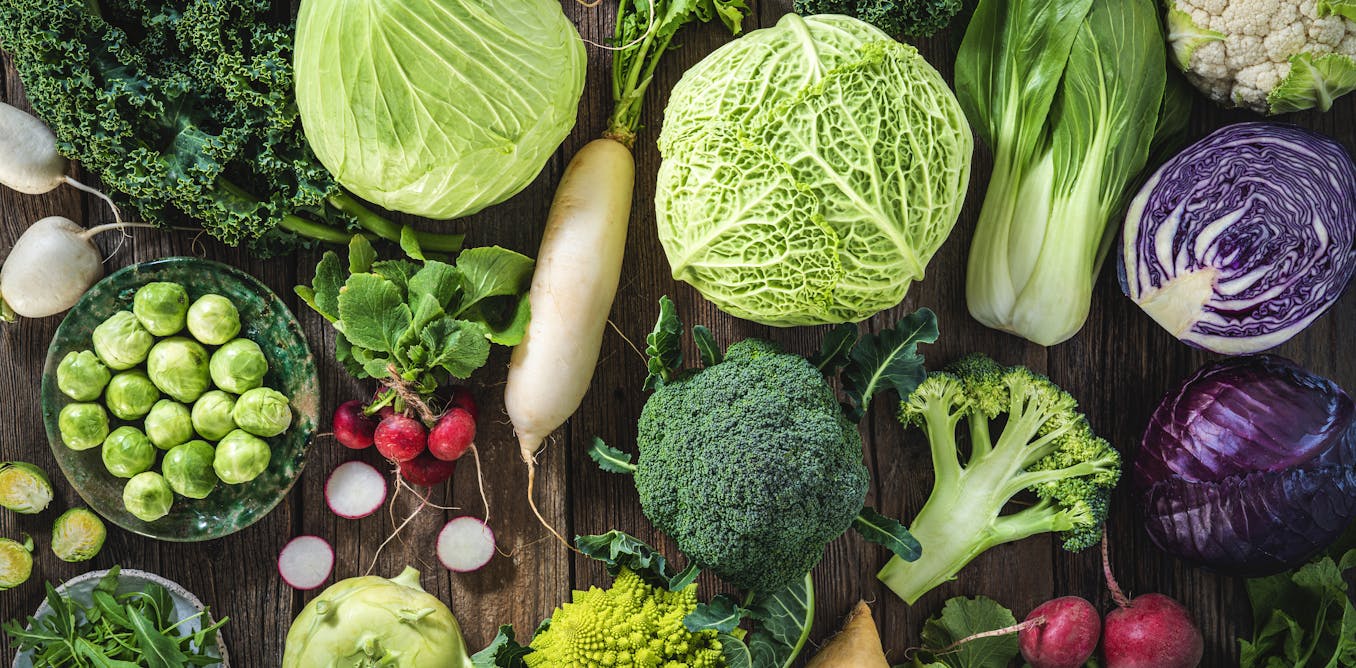 the latest global update on a diet that’s good for people and the planet the latest global update on a diet that’s good for people and the planet