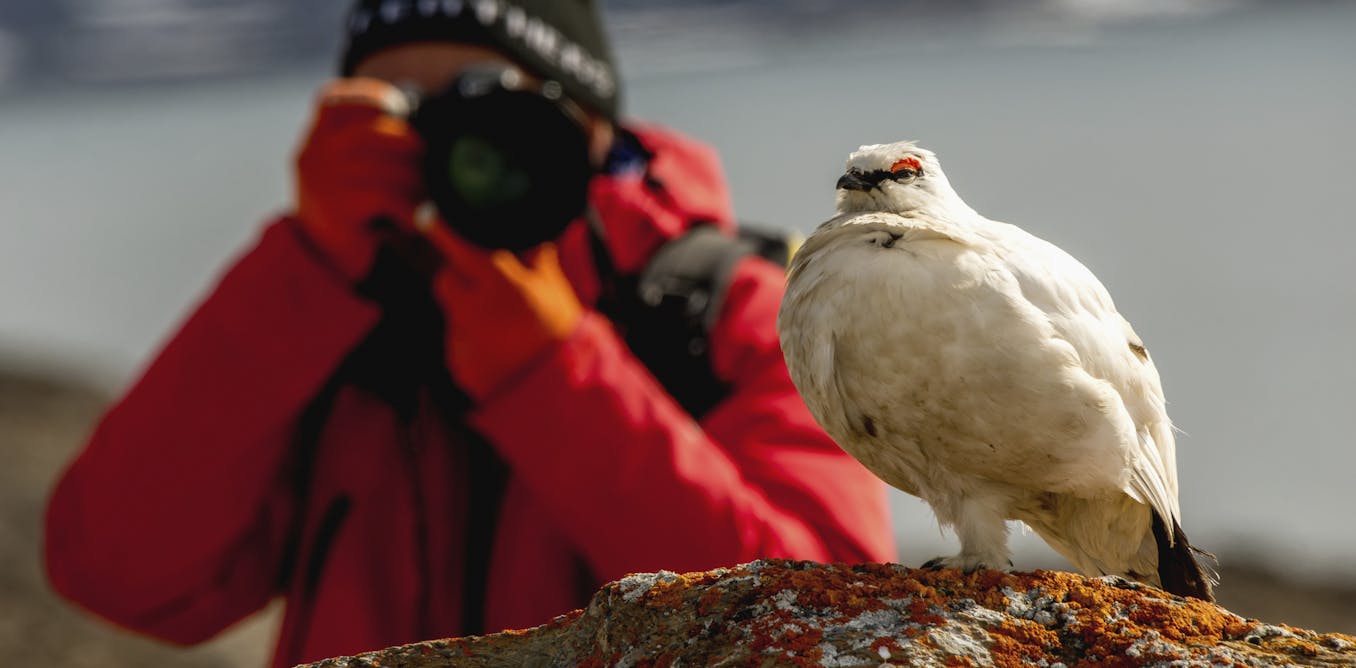The remarkable rise of eBird – the world’s biggest citizen science project The remarkable rise of eBird – the world’s biggest citizen science project