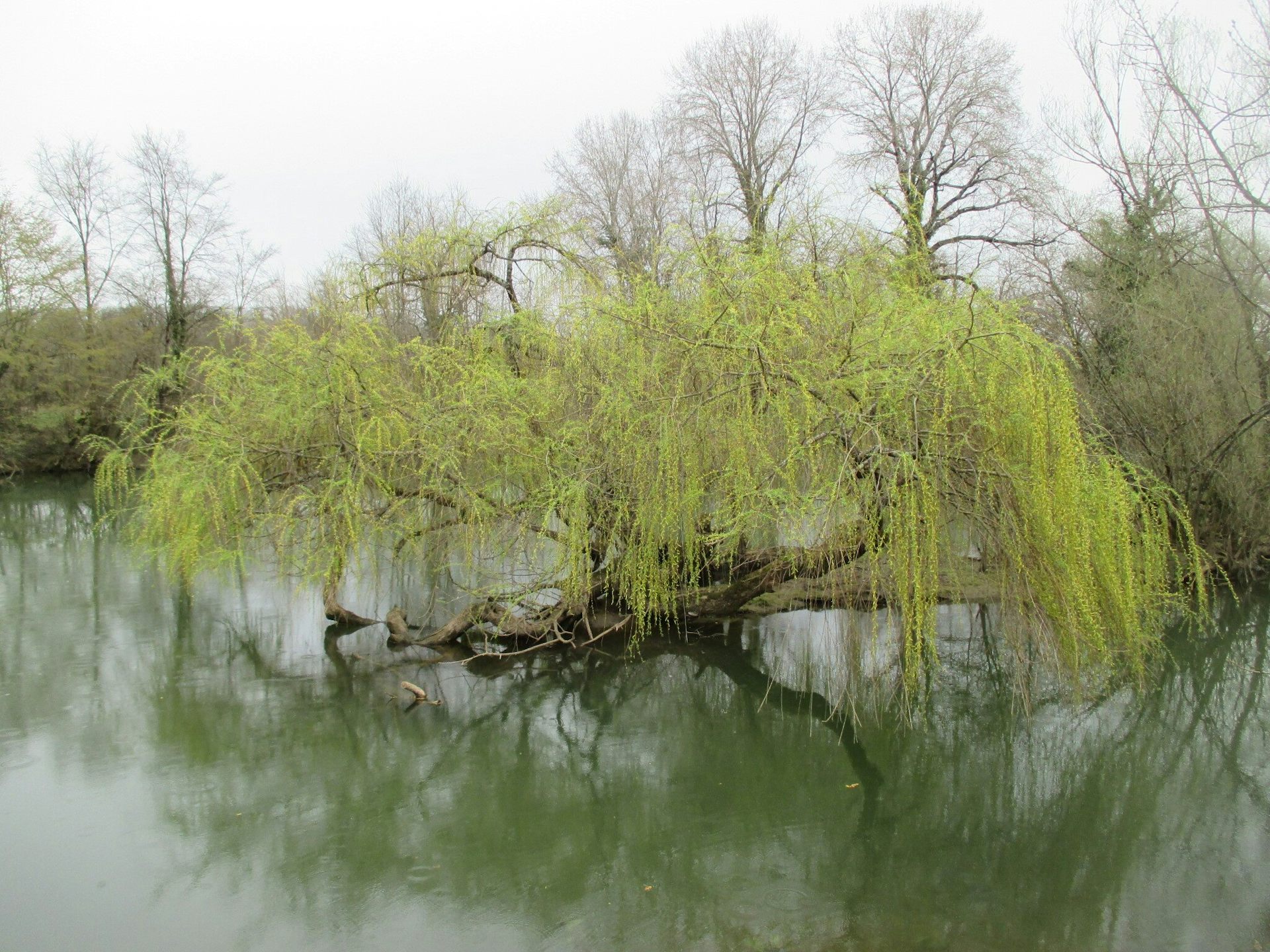 file 20251007 81 s4323.jpeg?ixlib=rb 4.1