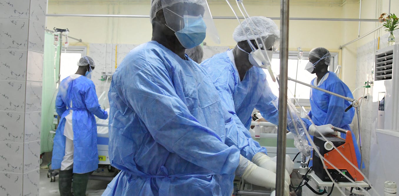 La fièvre de la vallée du Rift sévit au Sénégal : ce qu'il faut savoir ...