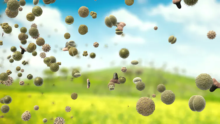 3-dimensional illustration of a variety of pollen grain types being transported through the air.