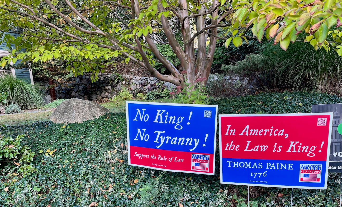Lawn signs that quote 'No King! No Tyranny!' and 'In America, the Law is King!'