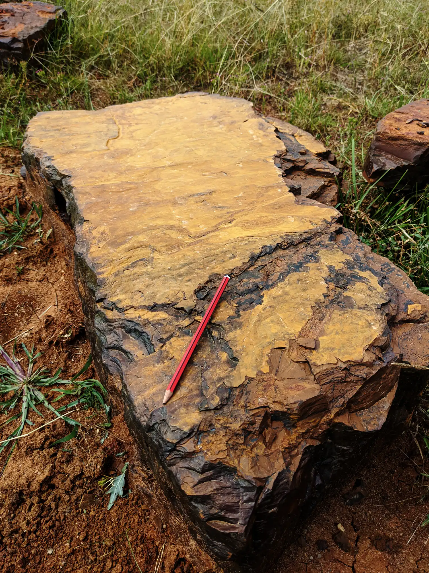 Strange Red Rocks in Australia Are Preserving Fossils in Stunning ...