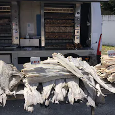 Bacalao en salazón sobre un puesto de un mercado