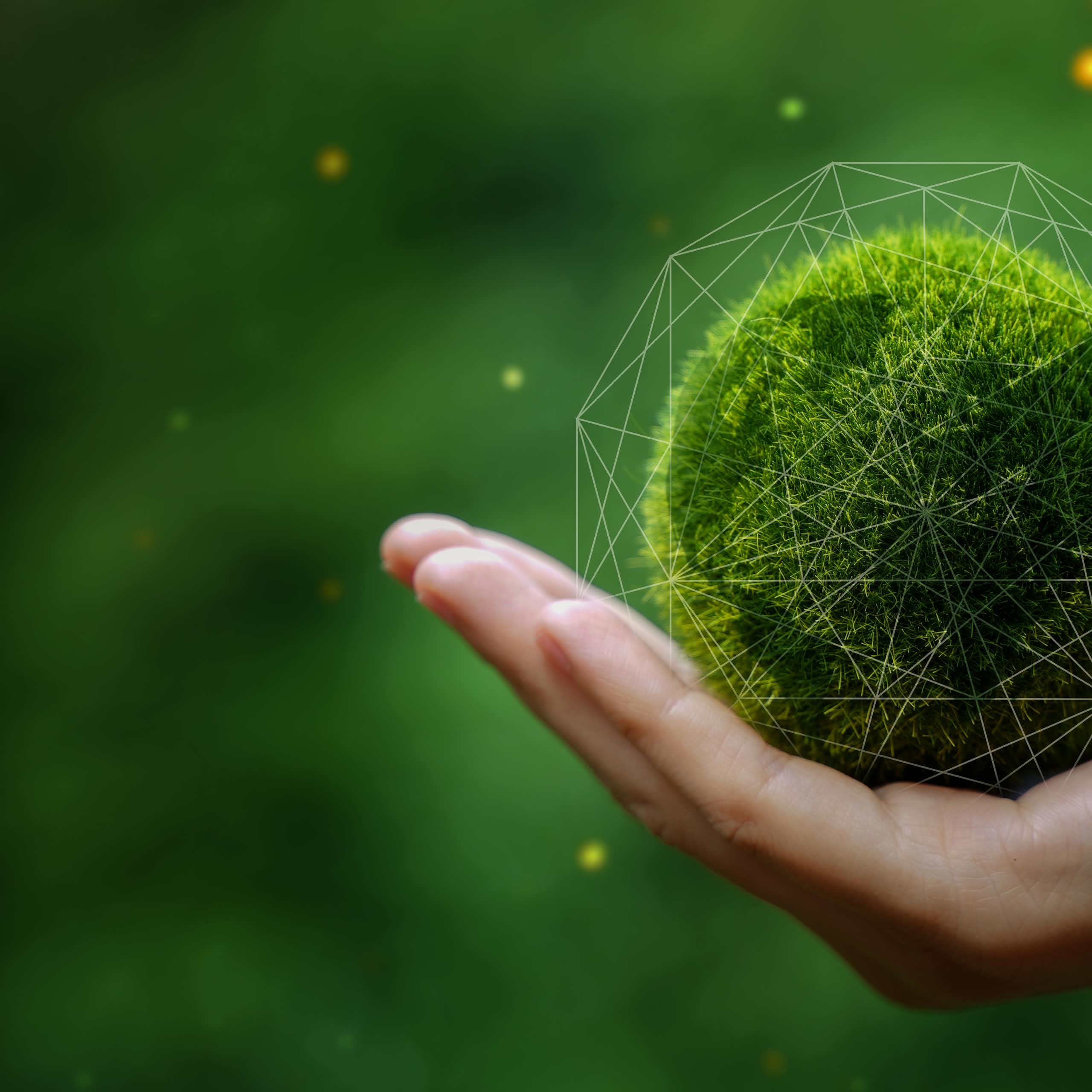 Una mano sostiene una bola del mundo verde