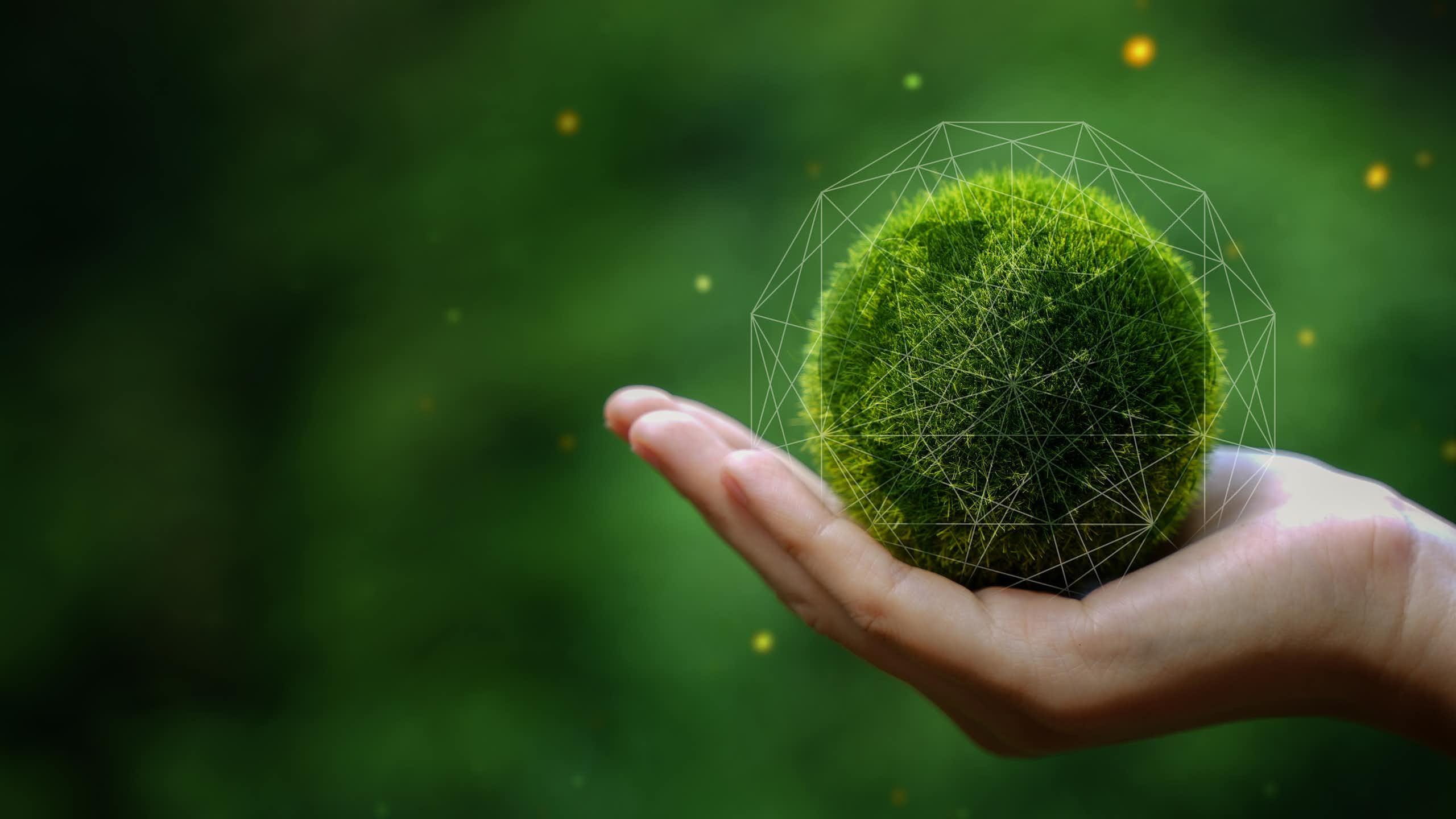 Una mano sostiene una bola del mundo verde