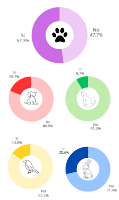 ¿Tener una mascota contribuye al bienestar emocional en la infancia? 1 file 20251008 86 lyr0dw.png?ixlib=rb 4.1