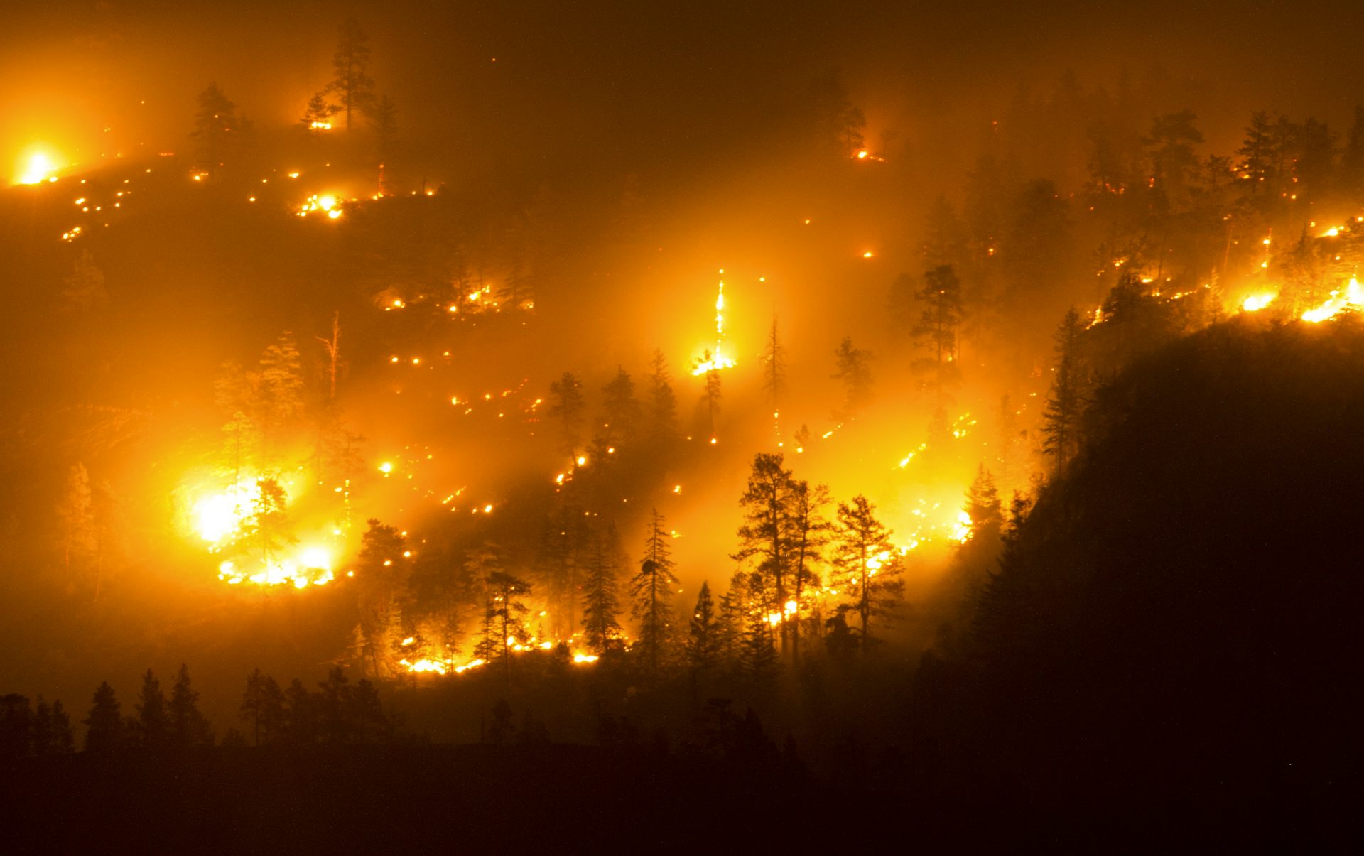 Flames at night amid a wildfire.
