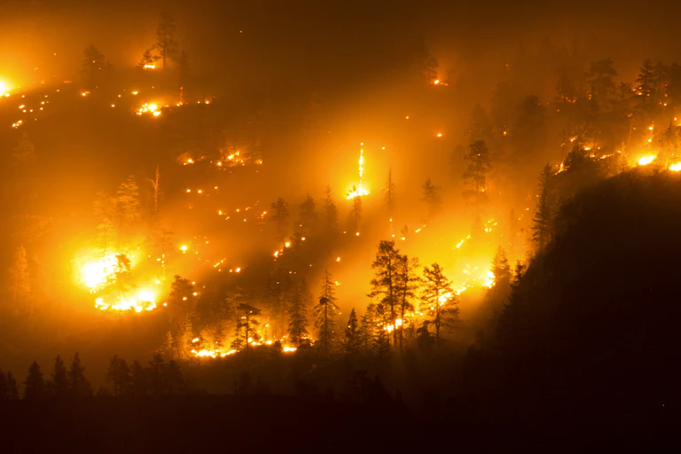 Flames at night amid a wildfire.