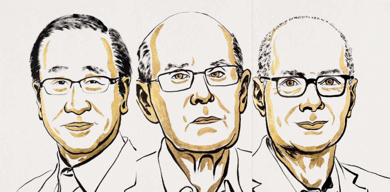 Estructuras moleculares premiadas con el Nobel de Química 2025