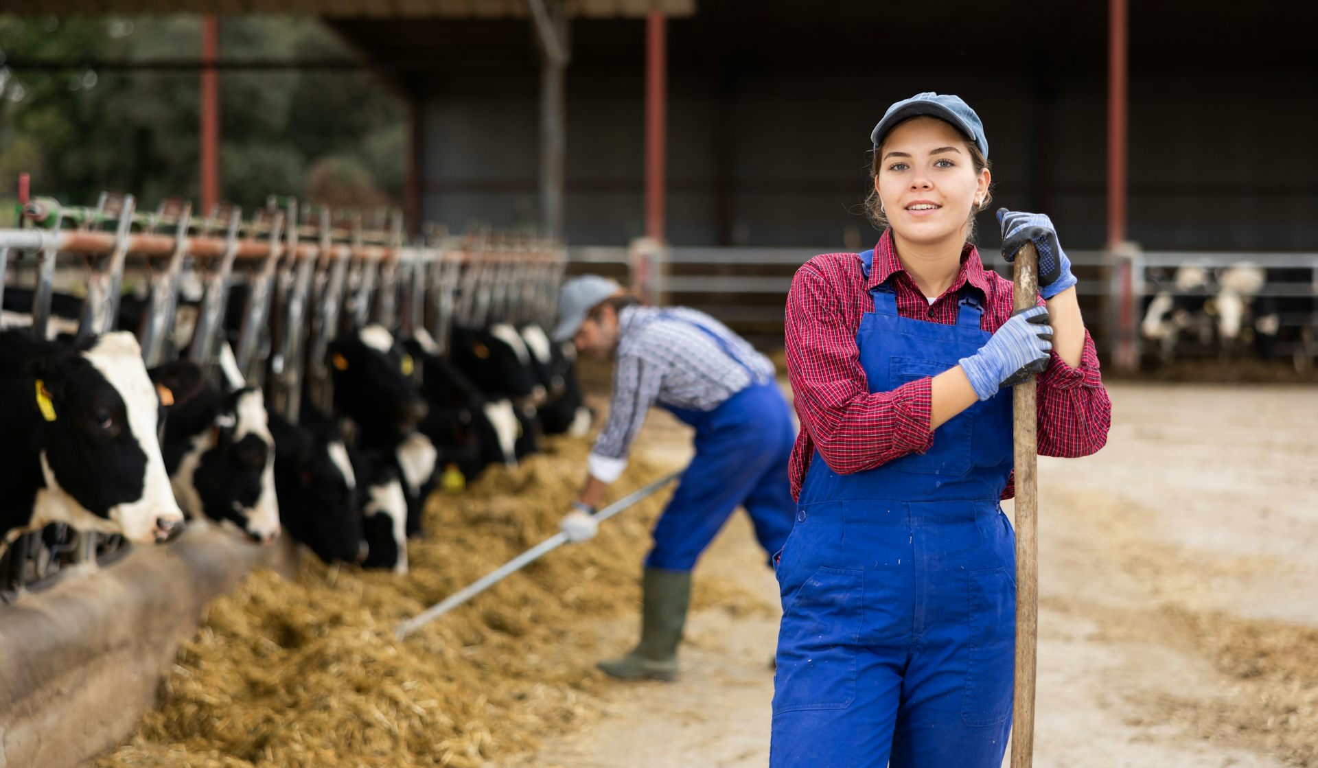 Three ways to make the UK’s food system more resilient – according to new report by 150 experts