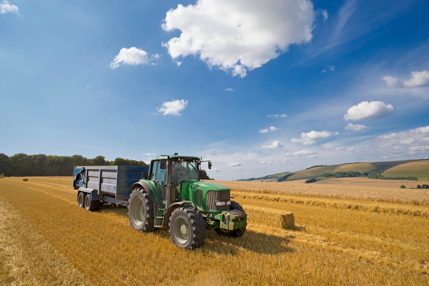 tractor in field, blue skies