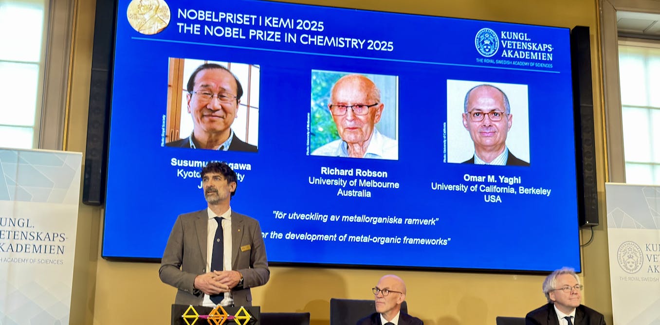 Nobel Prize: Revolutionary ‘Sponge Crystals’ & Their Vast Inner Space Nobel Prize: Revolutionary ‘Sponge Crystals’ & Their Vast Inner Space