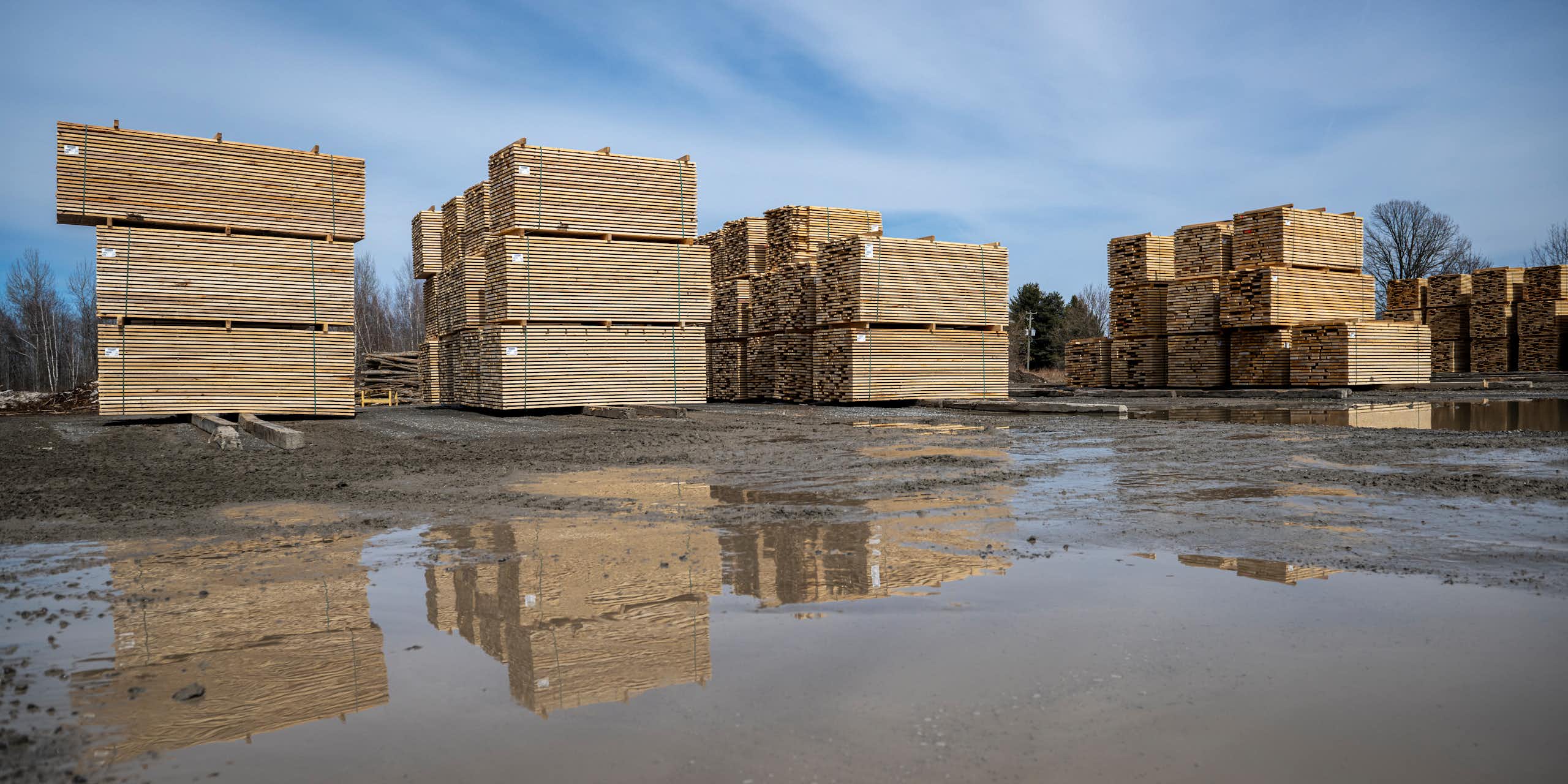 Why higher tariffs on Canadian lumber may not be enough to stimulate long-term investments in US forestry