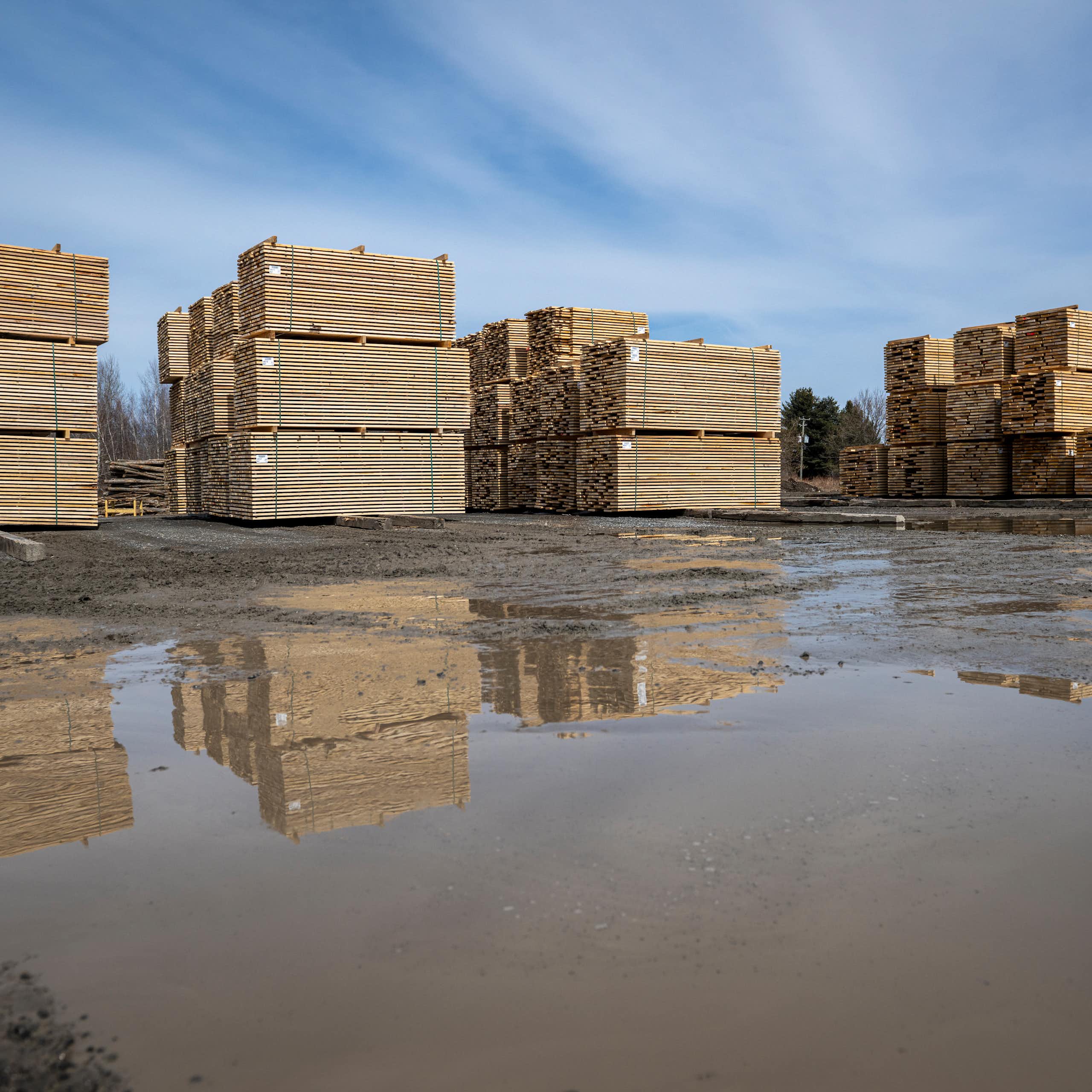 Why higher tariffs on Canadian lumber may not be enough to stimulate long-term investments in US forestry