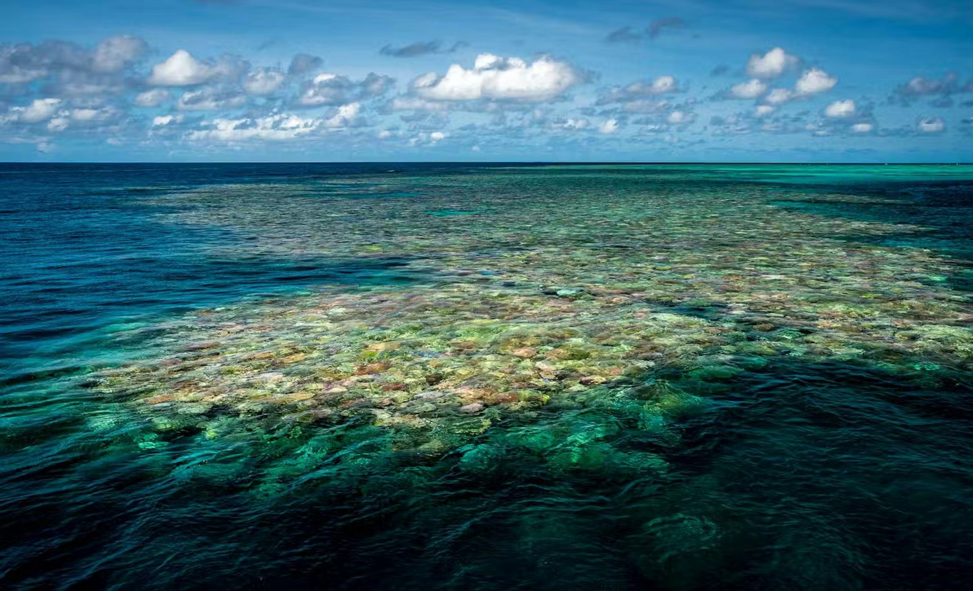 Since 2020, 4 of Australia’s natural World Heritage properties have deteriorated