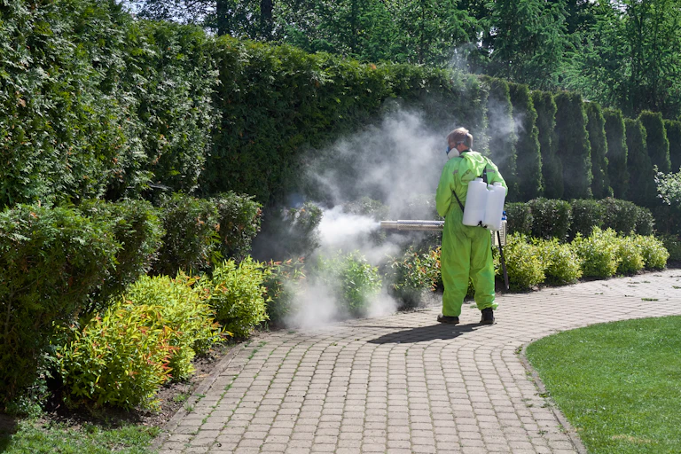 pest control worker in green overalls spraying pesticides on garden hedges