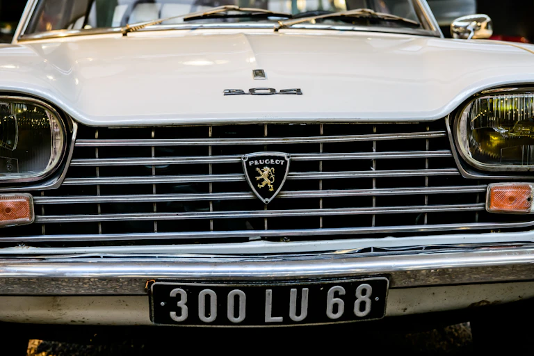 Peugeot 204