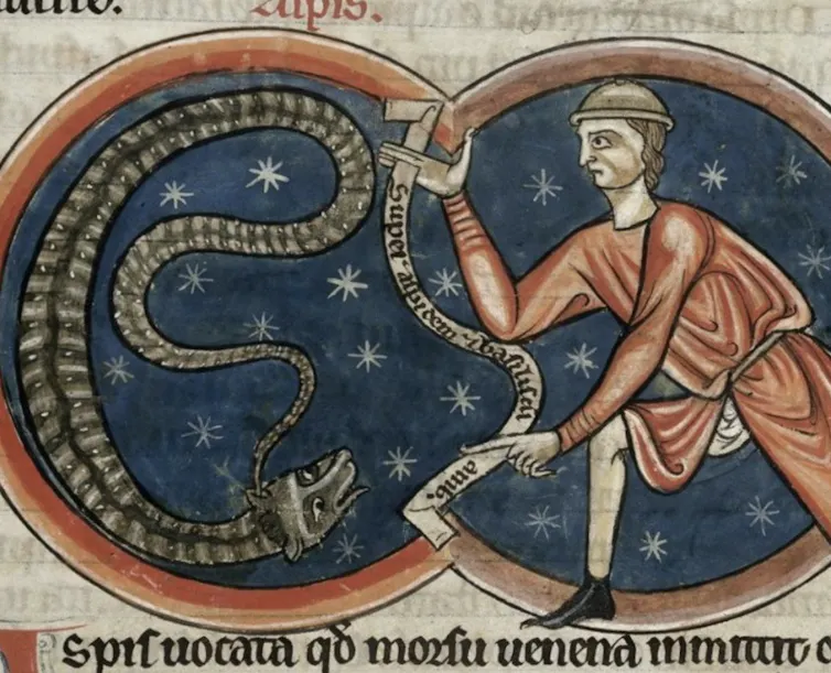 A man fighting a snake
