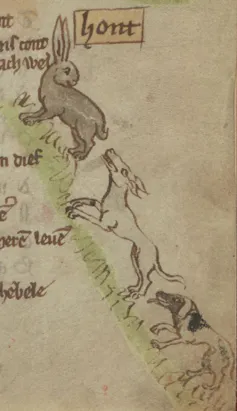 An illustration of a hare hunt