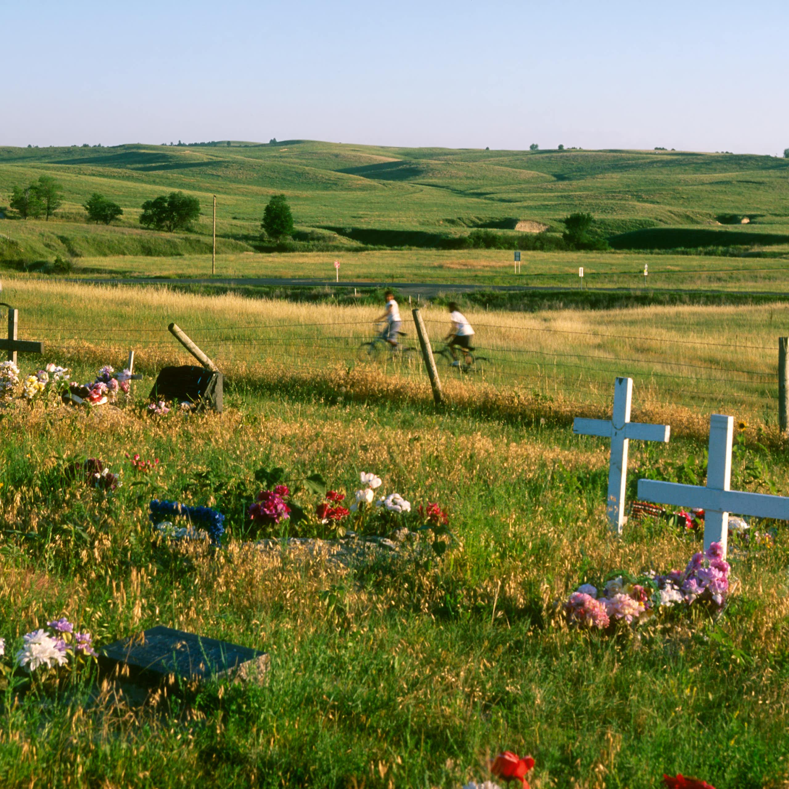 Rolling fields with flowers and grave markers. Three boys ride bikes in the distance.