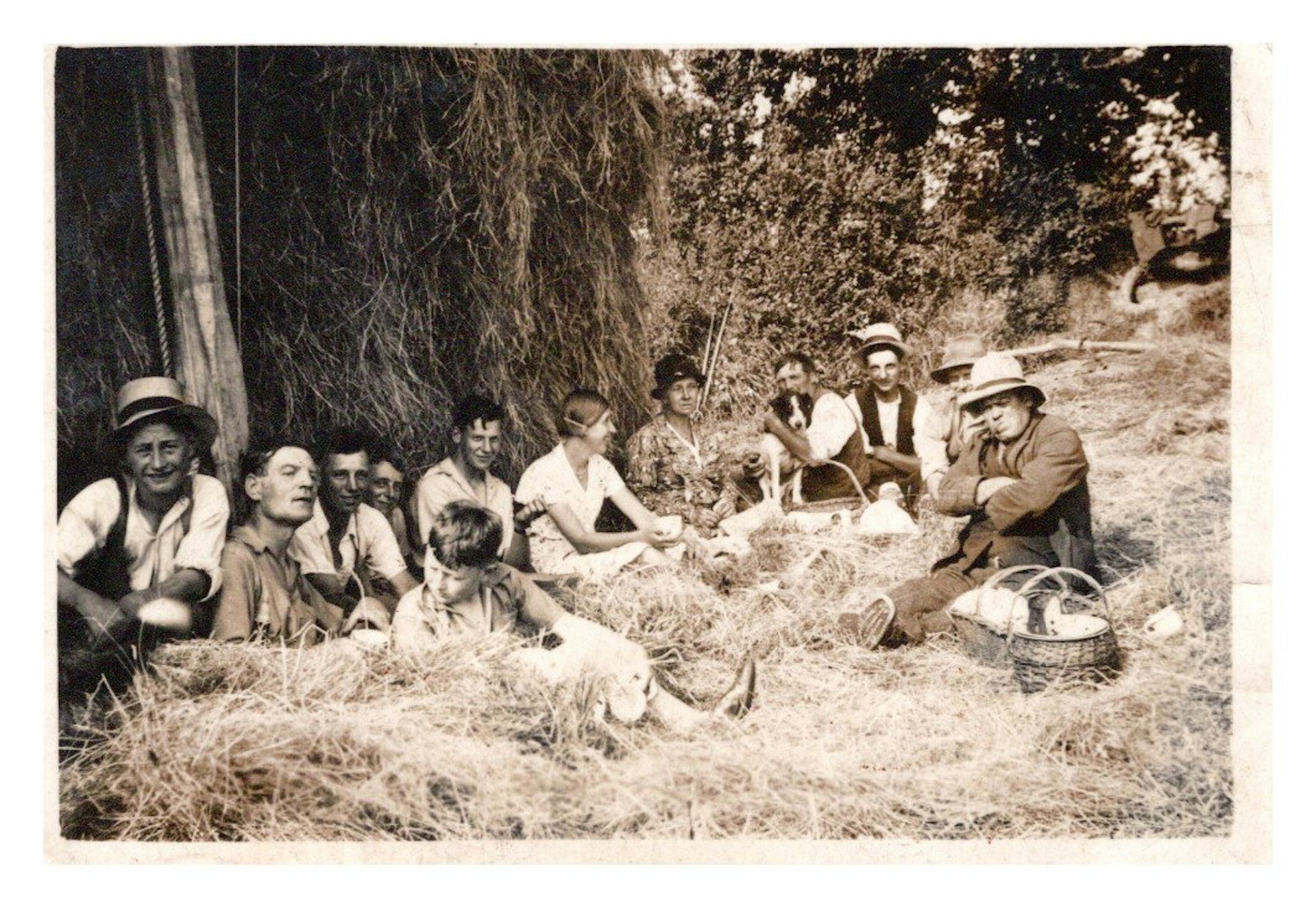 Rural Devon cuisine has a rich history – from the origins of cream teas to squab pie