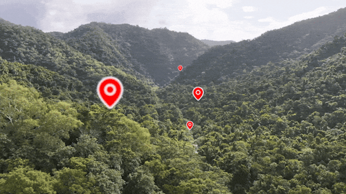 A drone video of Crystal Cascades Valley, Cairns, Queensland