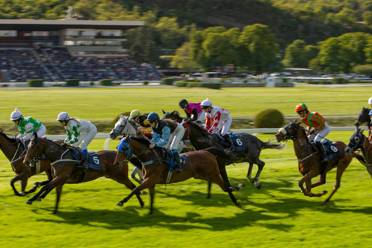 Chevaux de course en train de galoper.