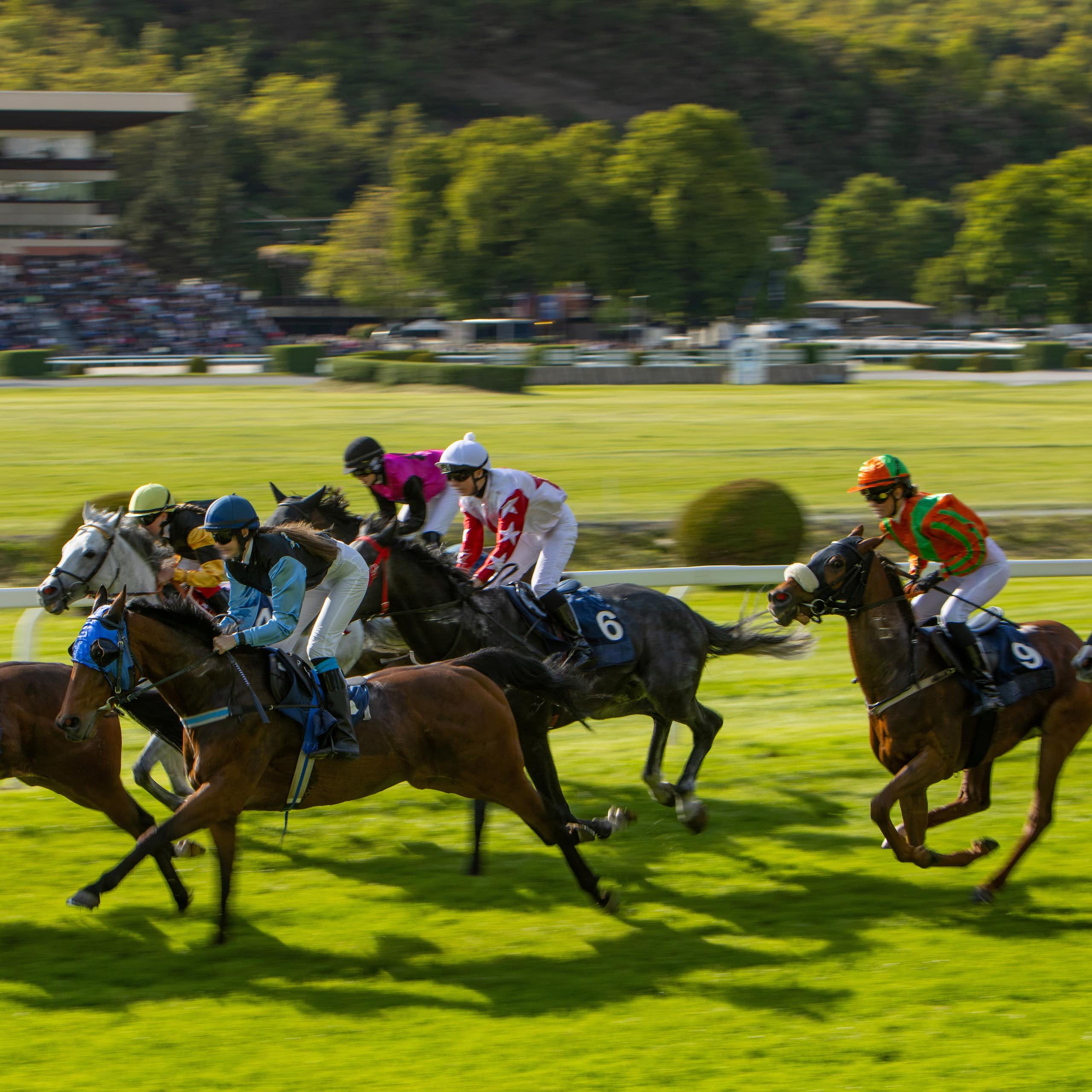 Chevaux de course en train de galoper.