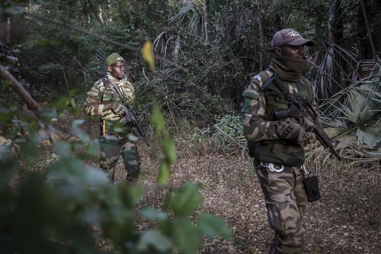 Armed people in camouflage clothing walk through a wooded area.
